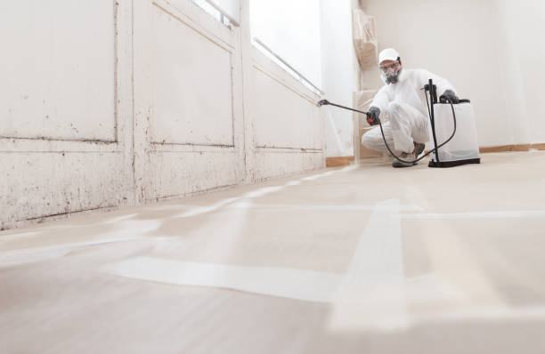 Trusted Mold Testing service in Elkton, VA - WQB Mold Removal