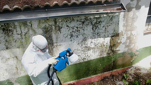 Top rated local Mold Testing specialists in Elkton, VA